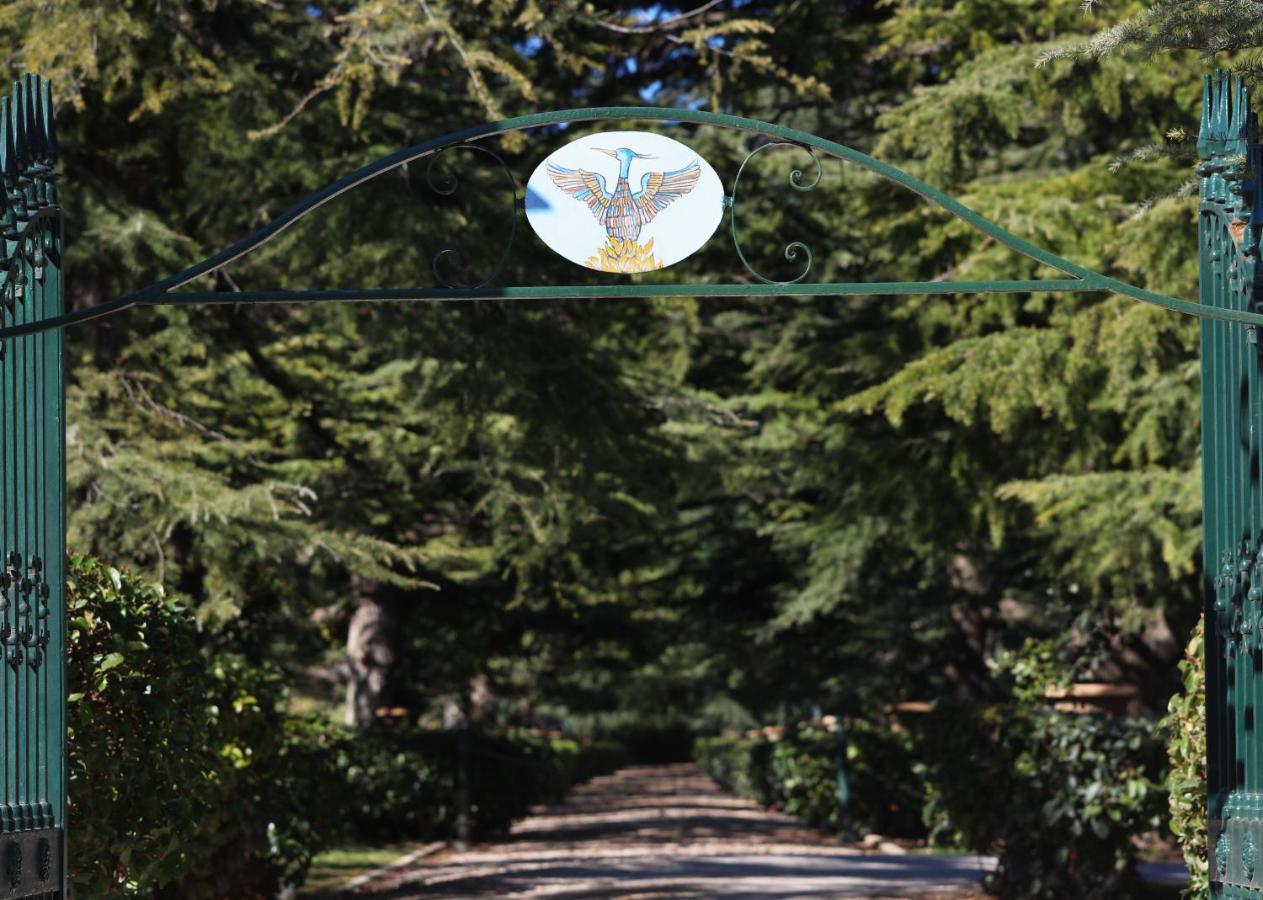 Villa Fenicia 루보디풀리아 외부 사진