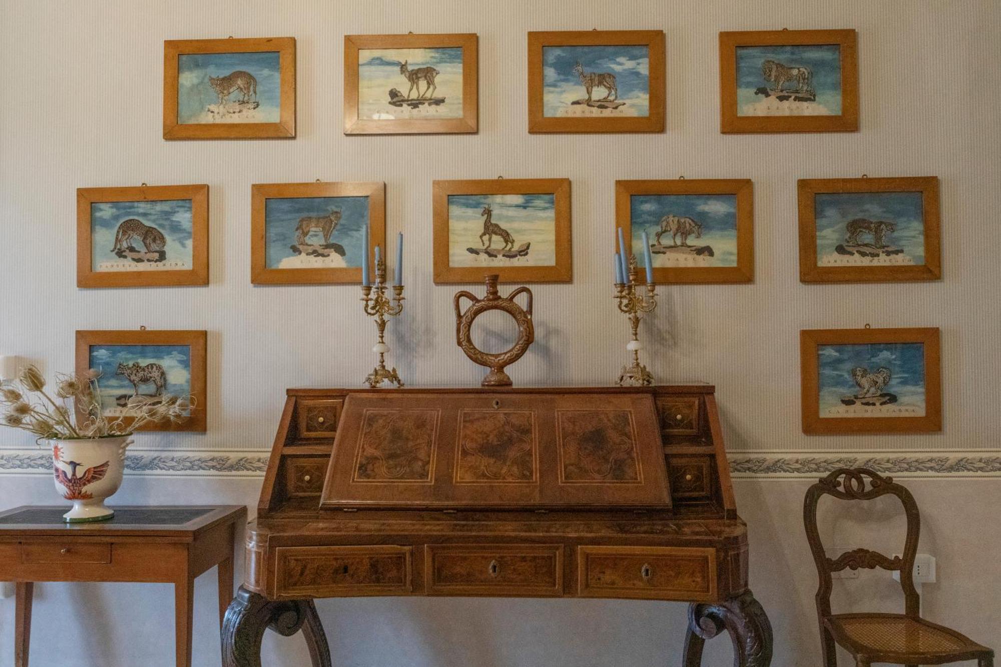 Villa Fenicia 루보디풀리아 외부 사진